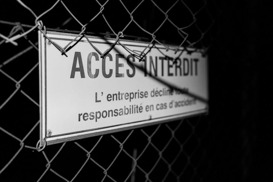 Language courses — 3