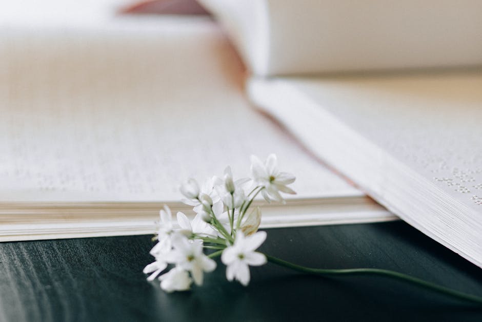 Language courses — 3